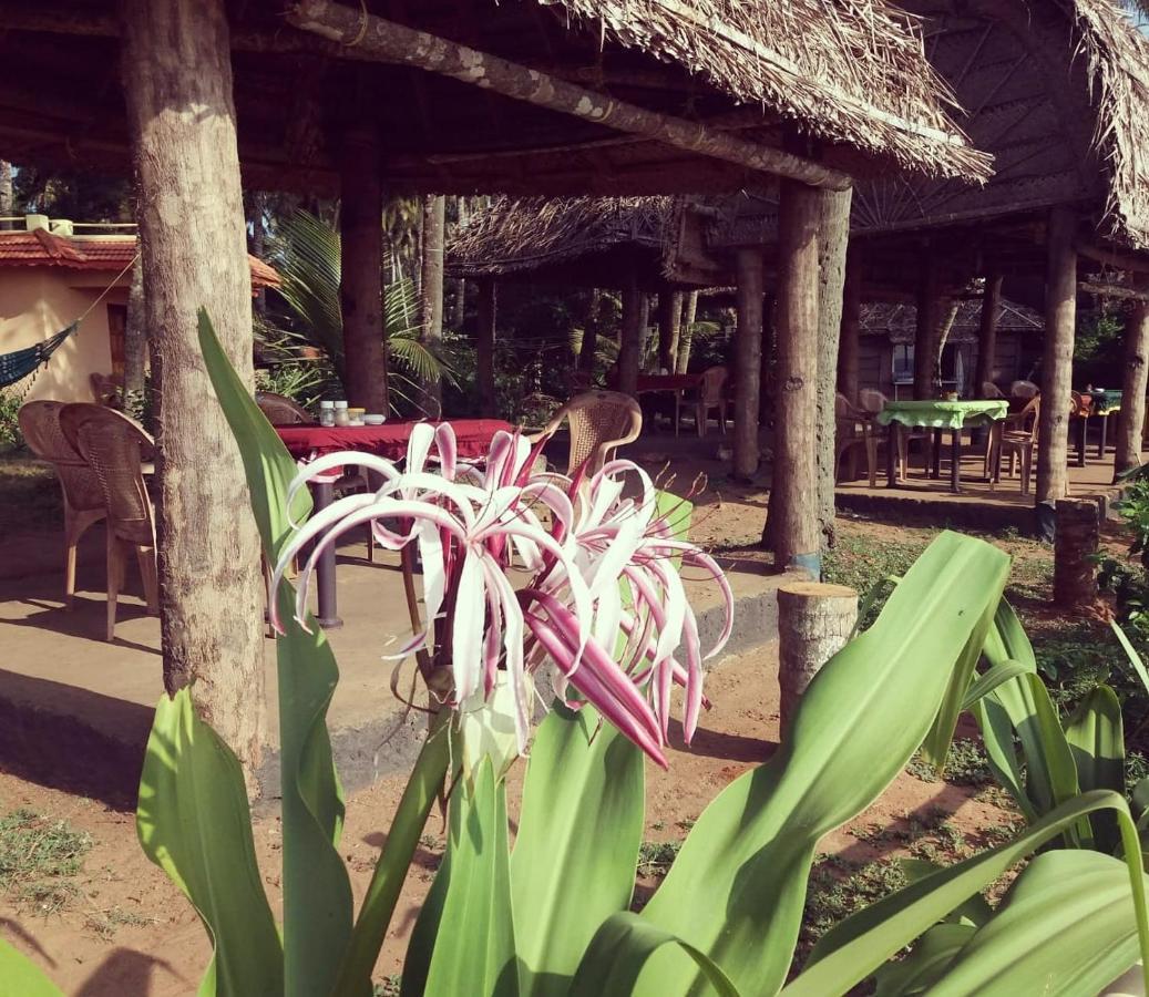 Sukriti Beach Resort Varkala Kültér fotó